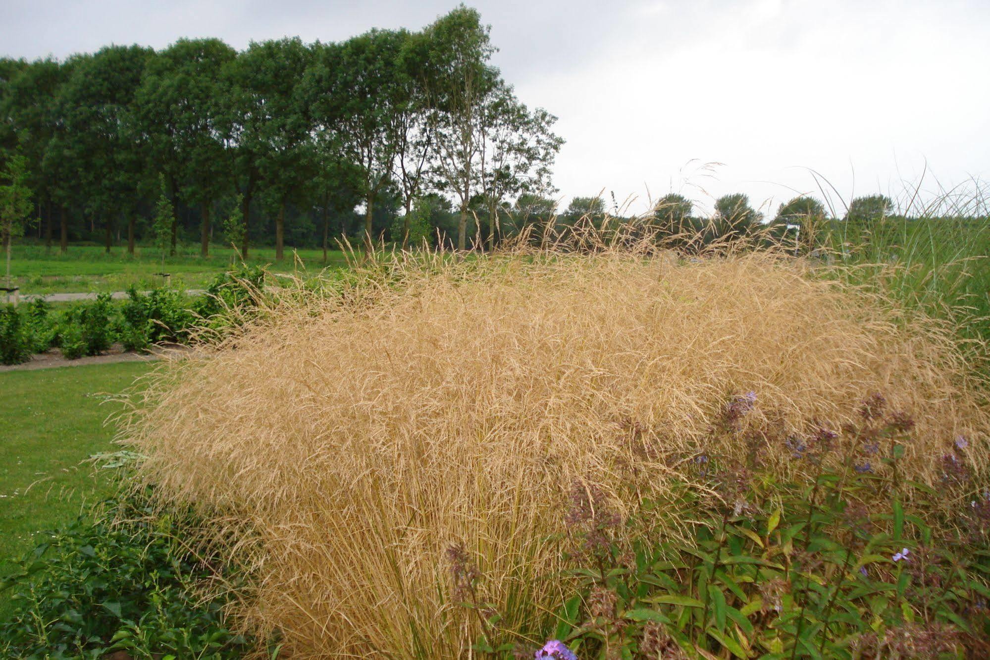 Lodgerie Het Groene Geheim Almere Dış mekan fotoğraf